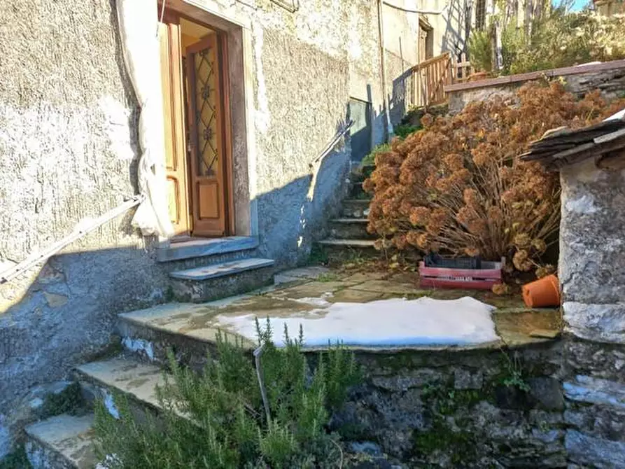 Immagine 16 di Terratetto in vendita  a Careggine