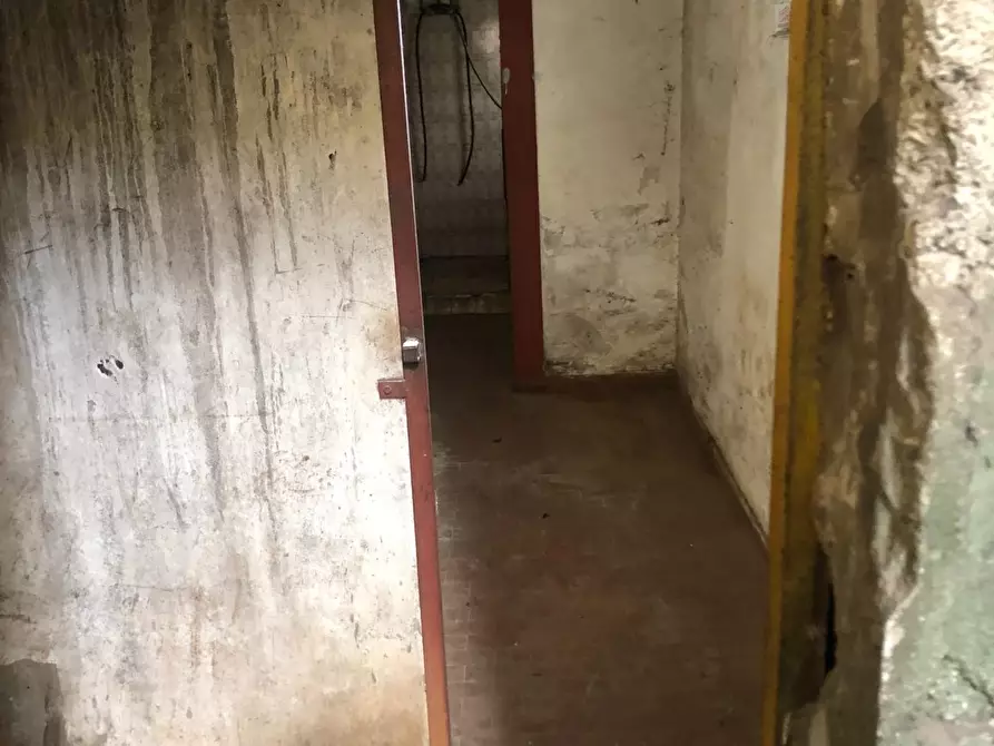 Immagine 16 di Attività artigianale in vendita  a Massa