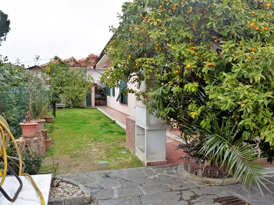 Immagine 2 di Villa in vendita  a Carrara