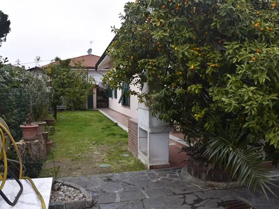 Immagine 9 di Villa in vendita  a Carrara