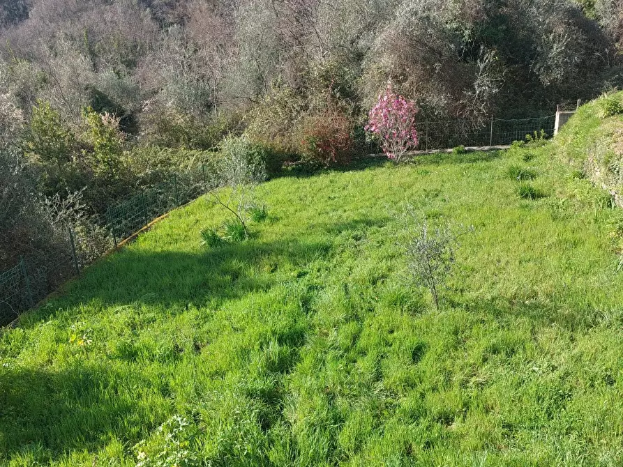 Immagine 23 di Villetta a schiera in vendita  a Calice Al Cornoviglio