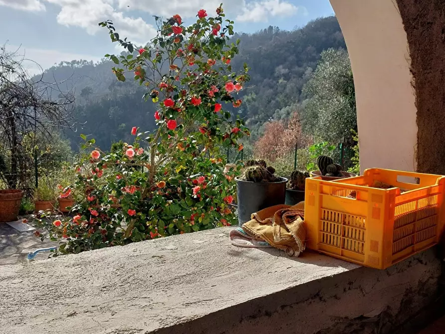 Immagine 29 di Villetta a schiera in vendita  a Calice Al Cornoviglio