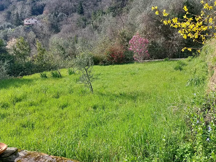 Immagine 20 di Villetta a schiera in vendita  a Calice Al Cornoviglio