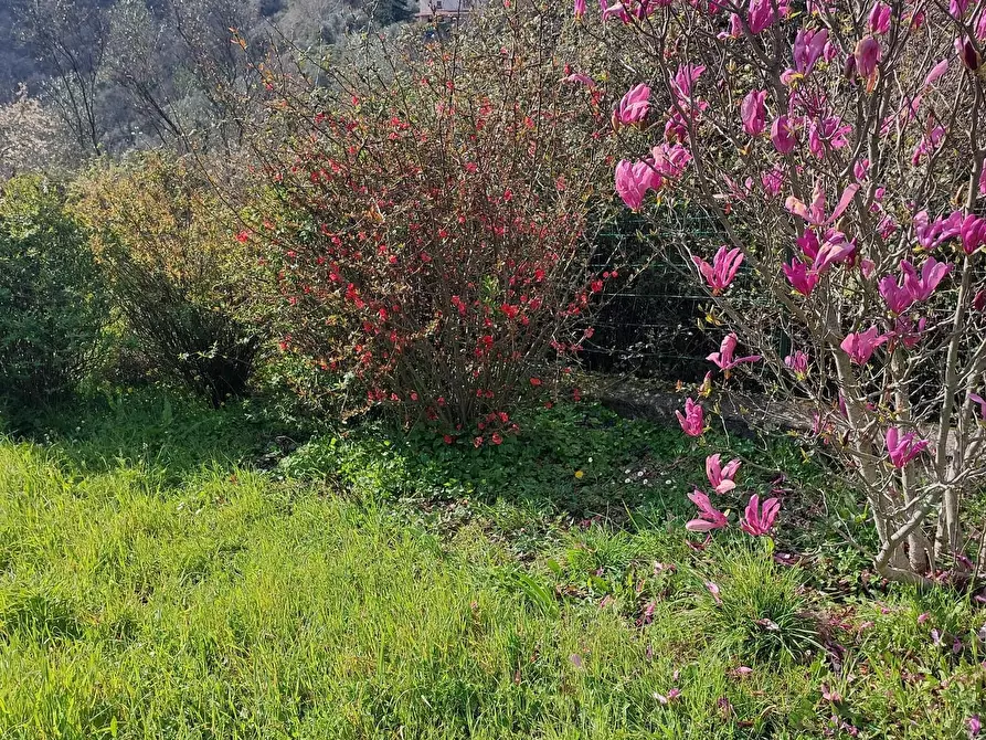 Immagine 22 di Villetta a schiera in vendita  a Calice Al Cornoviglio