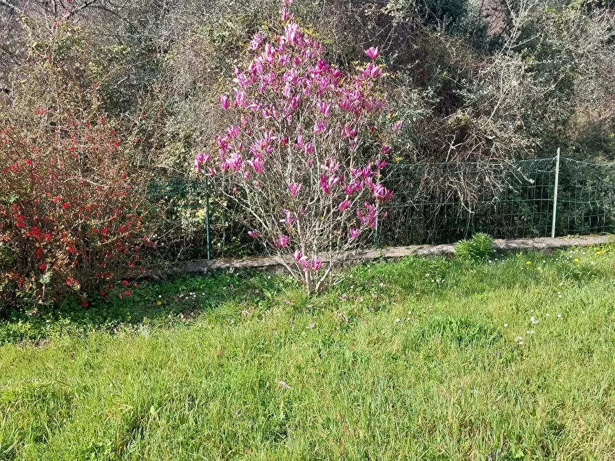 Immagine 21 di Villetta a schiera in vendita  a Calice Al Cornoviglio
