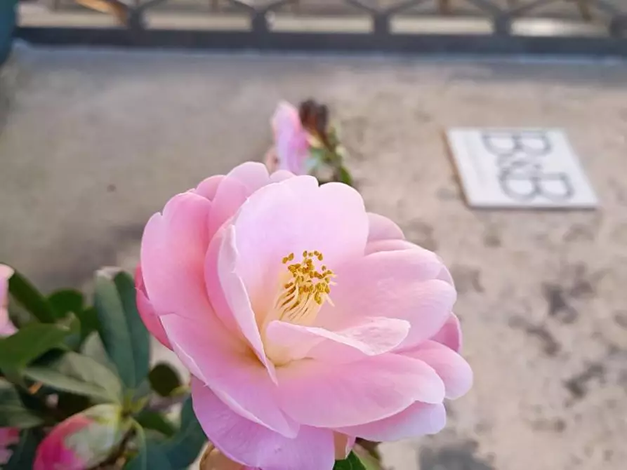 Immagine 8 di Casa semindipendente in vendita  a Licciana Nardi