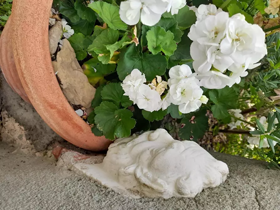 Immagine 7 di Casa semindipendente in vendita  a Licciana Nardi