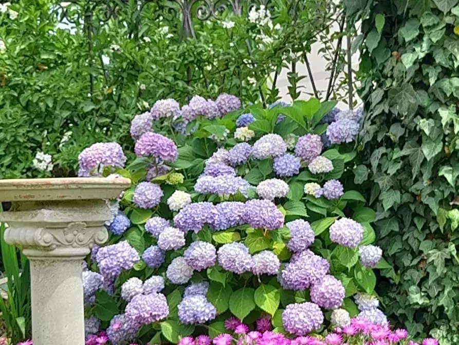 Immagine 6 di Casa semindipendente in vendita  a Licciana Nardi