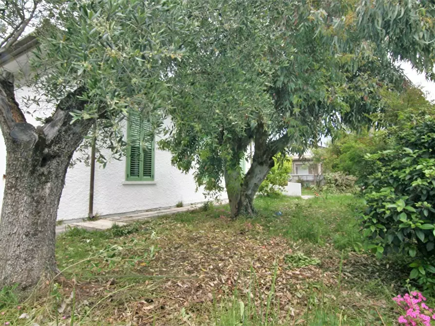 Immagine 5 di Casa indipendente in vendita  a Carrara