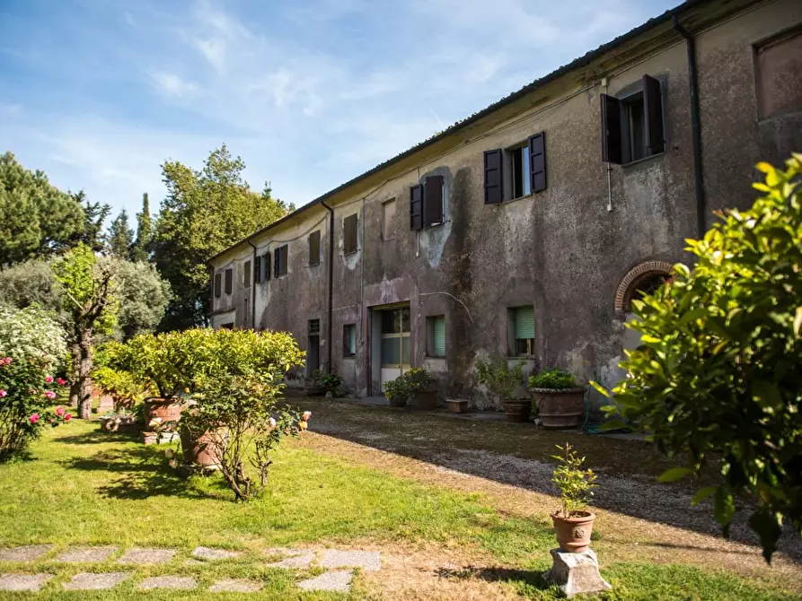 Immagine 6 di Rustico / casale in vendita  a Pisa
