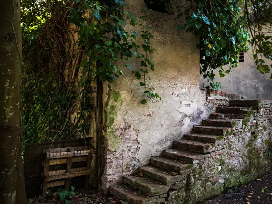Immagine 11 di Rustico / casale in vendita  a Pisa