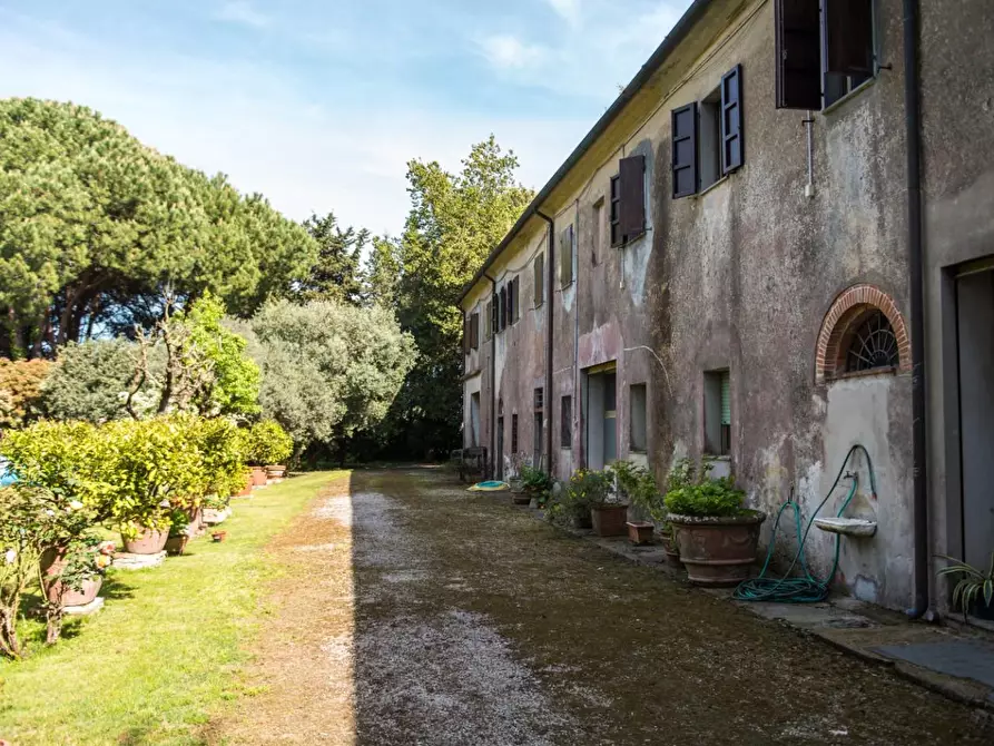 Immagine 7 di Rustico / casale in vendita  a Pisa
