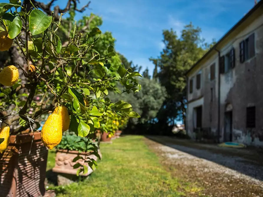 Immagine 9 di Rustico / casale in vendita  a Pisa