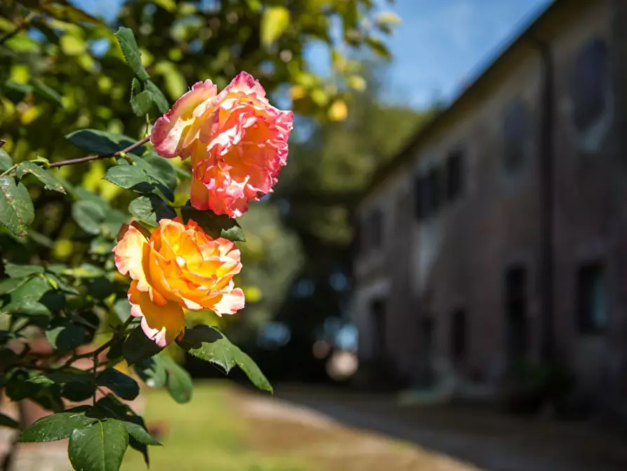 Immagine 8 di Rustico / casale in vendita  a Pisa