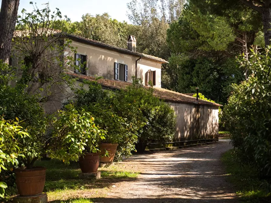 Immagine 1 di Rustico / casale in vendita  a Pisa