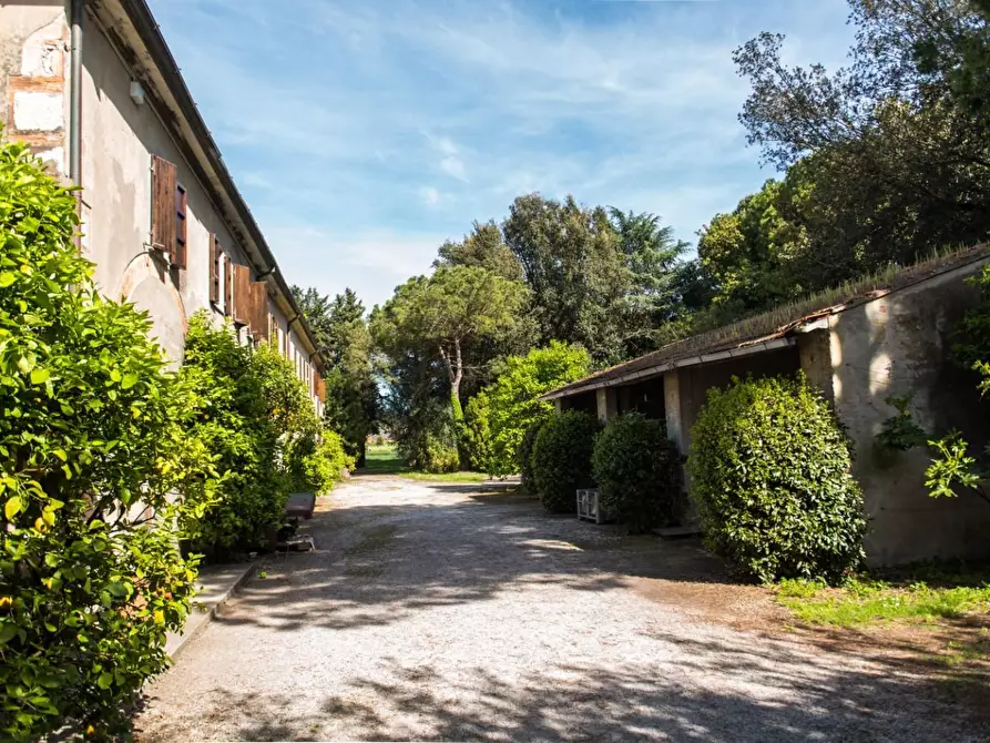 Immagine 16 di Rustico / casale in vendita  a Pisa