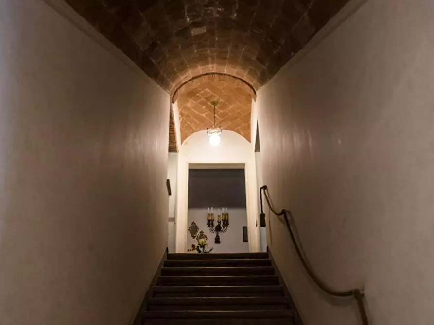 Immagine 29 di Rustico / casale in vendita  a Pisa