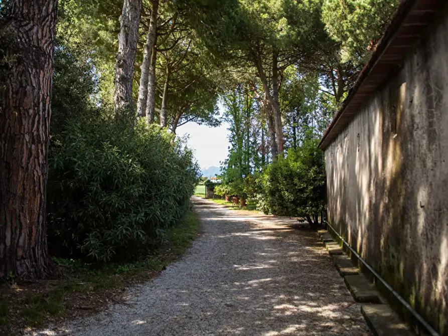 Immagine 4 di Rustico / casale in vendita  a Pisa