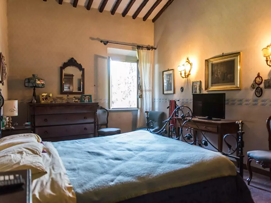 Immagine 38 di Rustico / casale in vendita  a Pisa