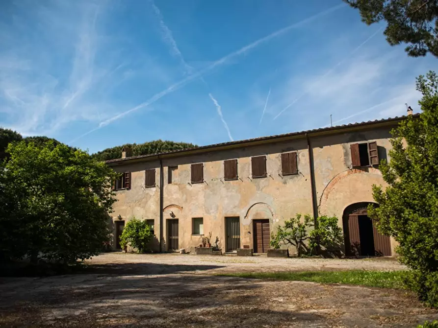 Immagine 15 di Rustico / casale in vendita  a Pisa