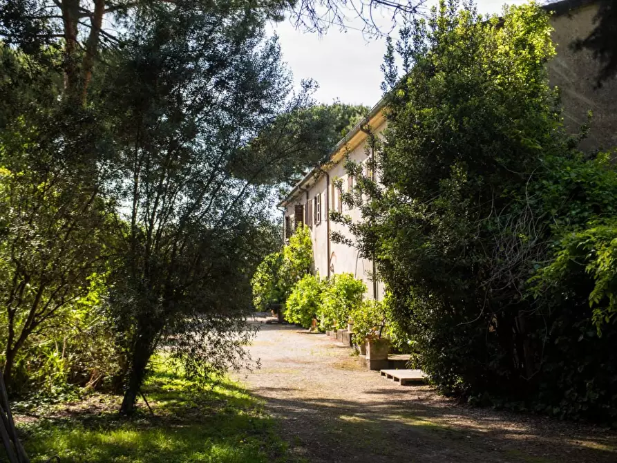 Immagine 12 di Rustico / casale in vendita  a Pisa