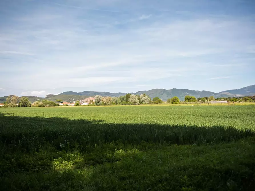 Immagine 13 di Rustico / casale in vendita  a Pisa