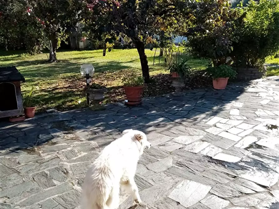 Immagine 53 di Villa in vendita  a Carrara