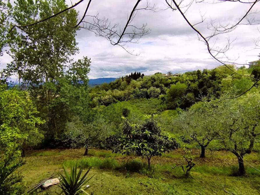 Immagine 16 di Villa in vendita  a San Miniato