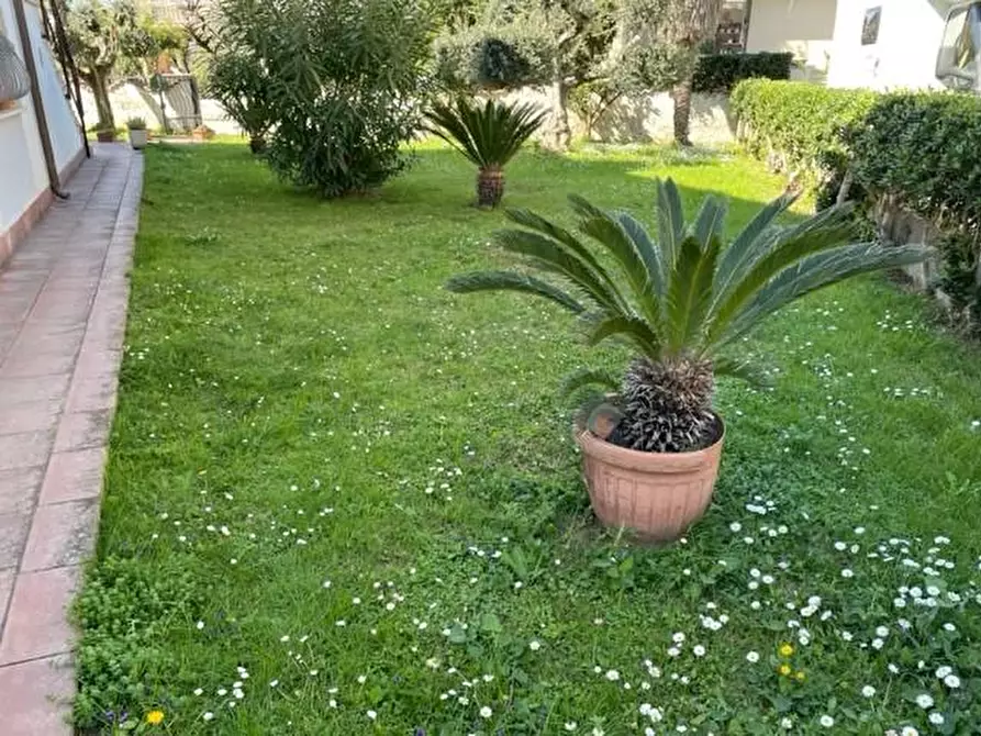 Immagine 17 di Villa in vendita  a Vecchiano