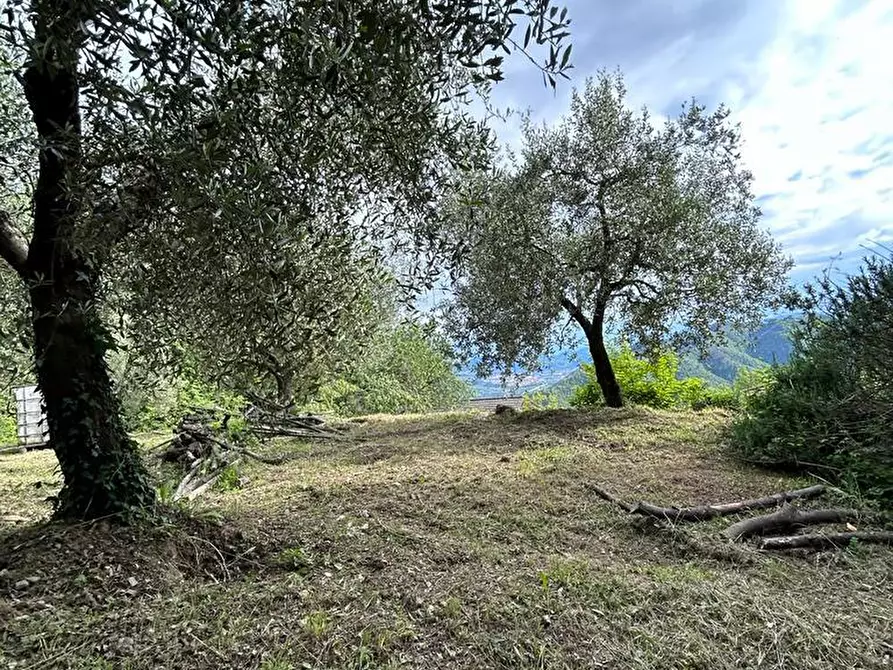 Immagine 22 di Casa indipendente in vendita  a Podenzana