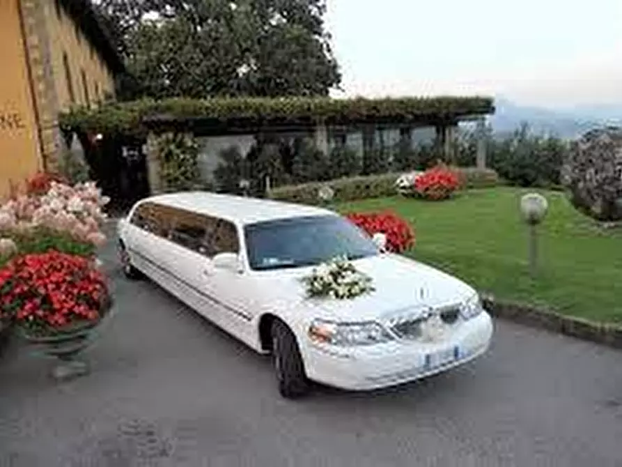 Immagine 2 di Attività commerciale in vendita  a Torino