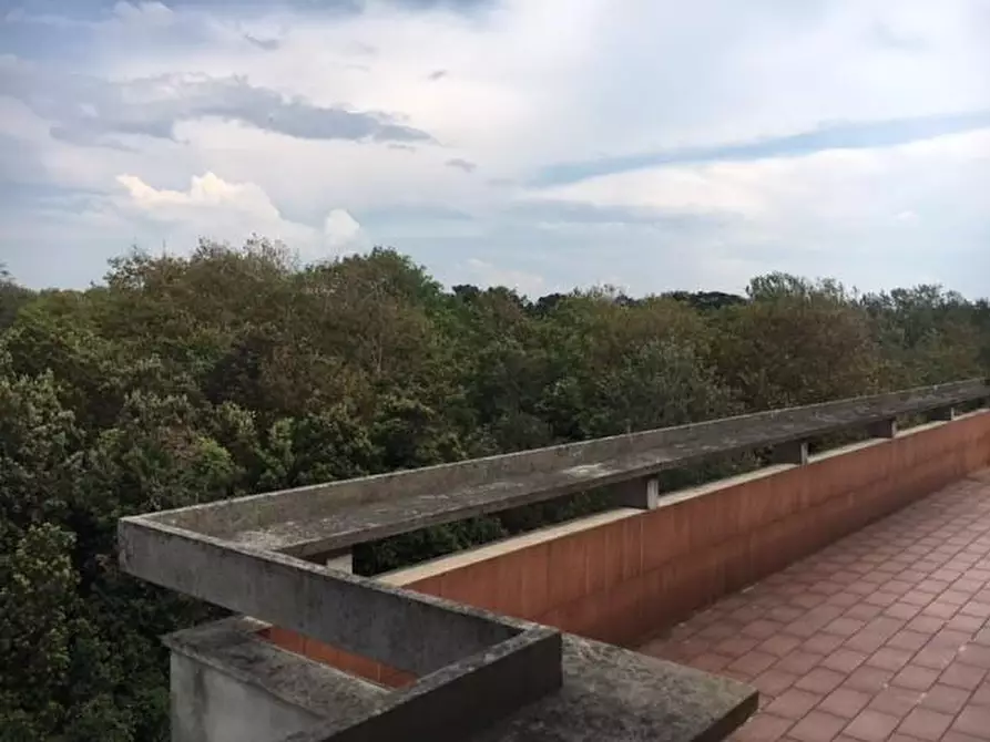 Immagine 20 di Mansarda in affitto  a Viareggio