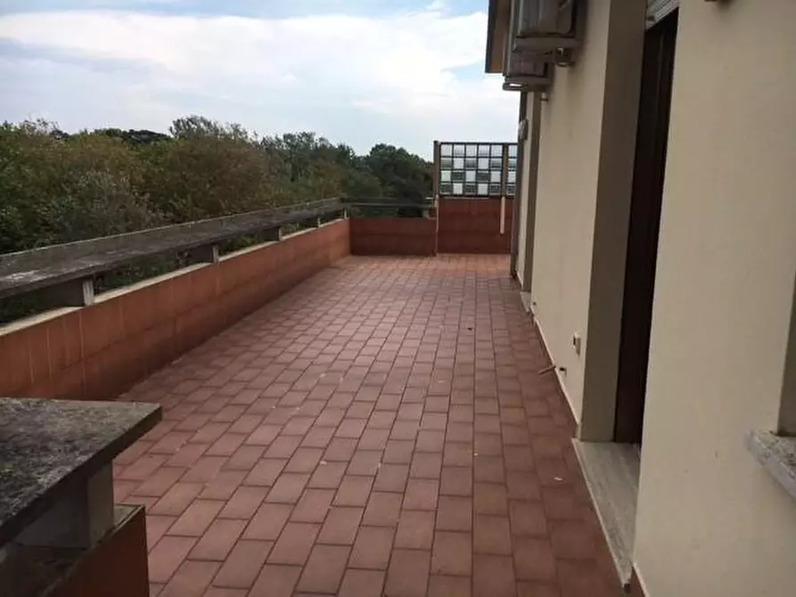 Immagine 19 di Mansarda in affitto  a Viareggio