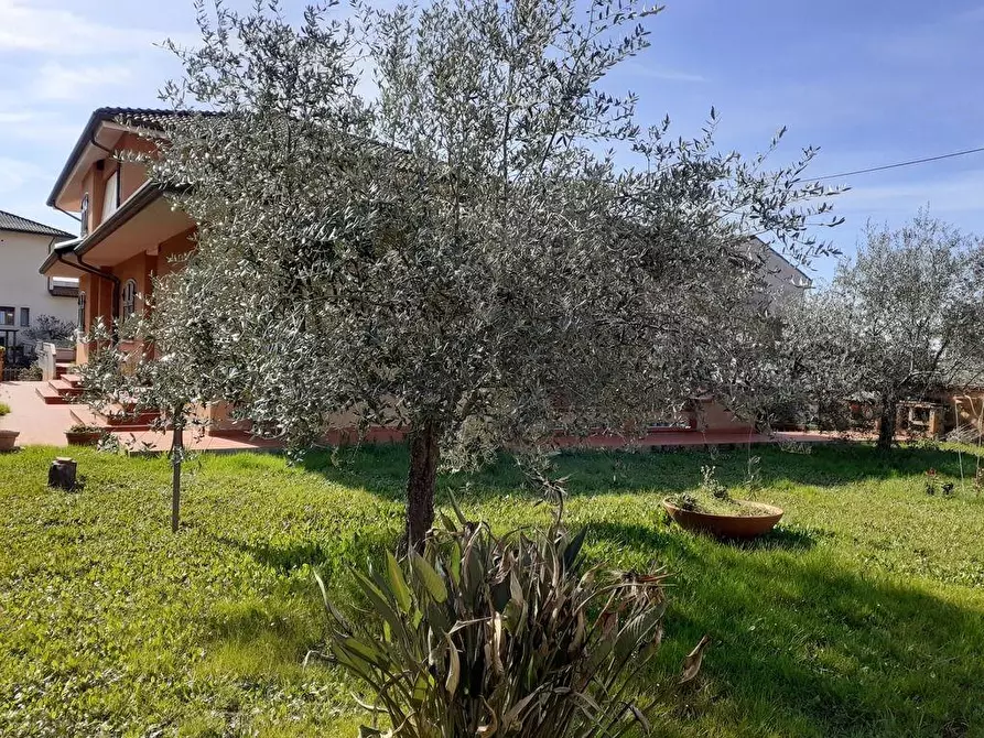 Immagine 5 di Villa in vendita  a Carrara