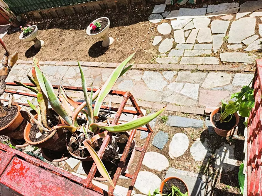 Immagine 21 di Appartamento in vendita  a Carrara