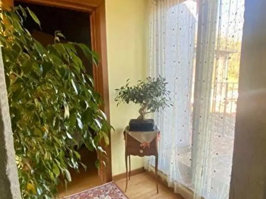 Immagine 38 di Rustico / casale in vendita  a Pescia