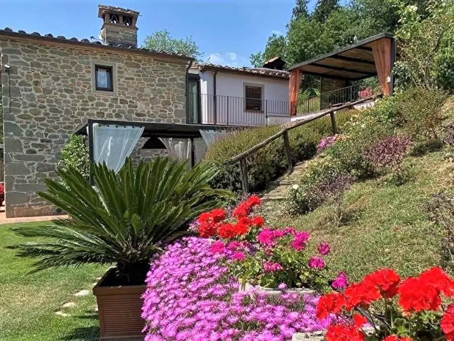 Immagine 12 di Rustico / casale in vendita  a Pescia