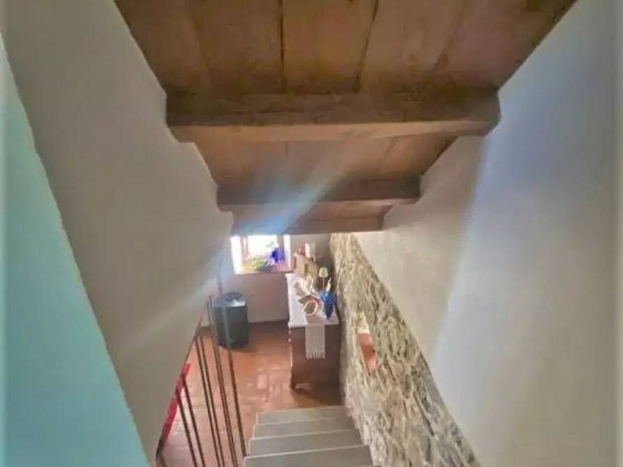 Immagine 26 di Rustico / casale in vendita  a Pescia