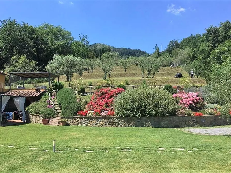 Immagine 11 di Rustico / casale in vendita  a Pescia