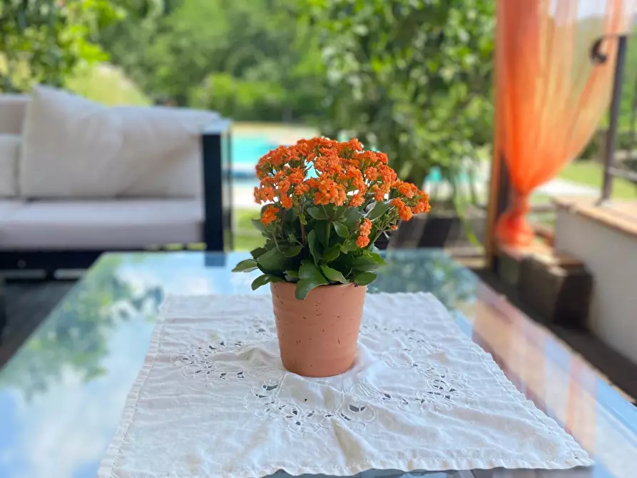 Immagine 32 di Rustico / casale in vendita  a Pescia