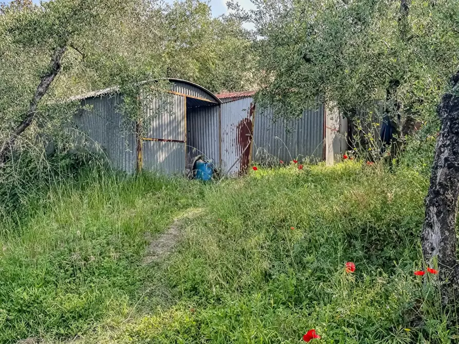 Immagine 37 di Villa in vendita  a Montopoli In Val D'arno