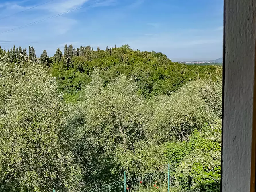 Immagine 16 di Villa in vendita  a Montopoli In Val D'arno