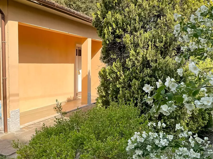 Immagine 30 di Villa in vendita  a Montopoli In Val D'arno