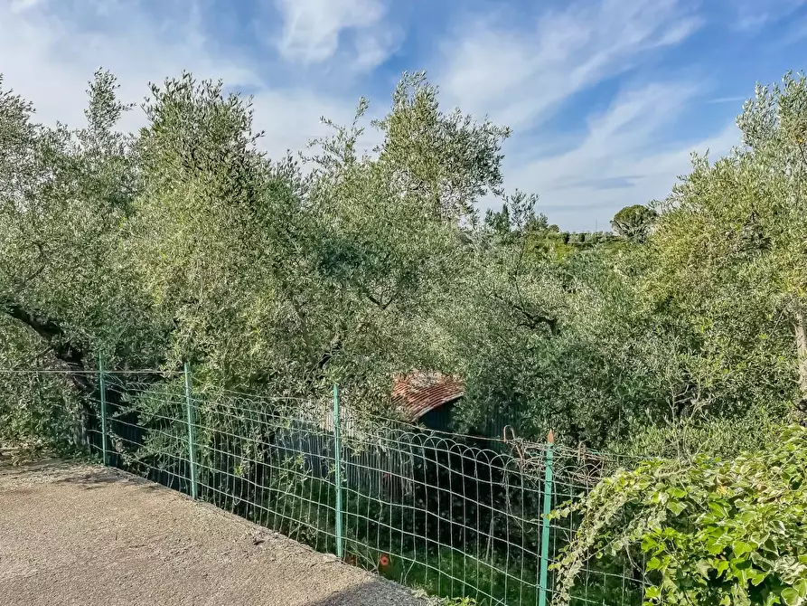 Immagine 35 di Villa in vendita  a Montopoli In Val D'arno