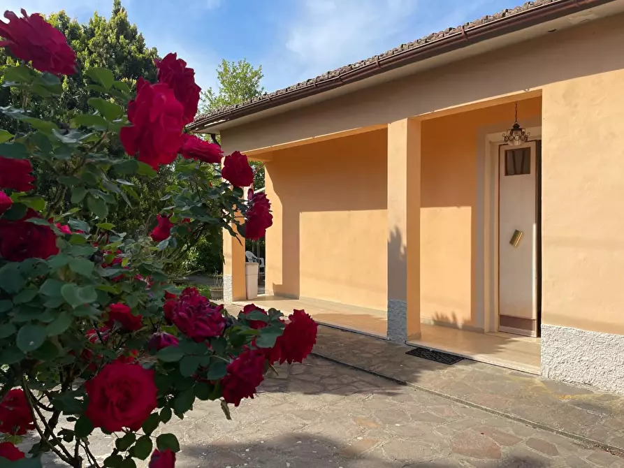 Immagine 1 di Villa in vendita  a Montopoli In Val D'arno