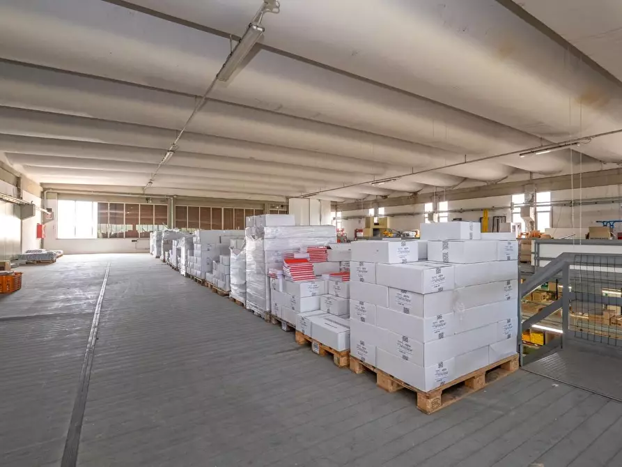 Immagine 26 di Capannone industriale in vendita  a Calcinaia