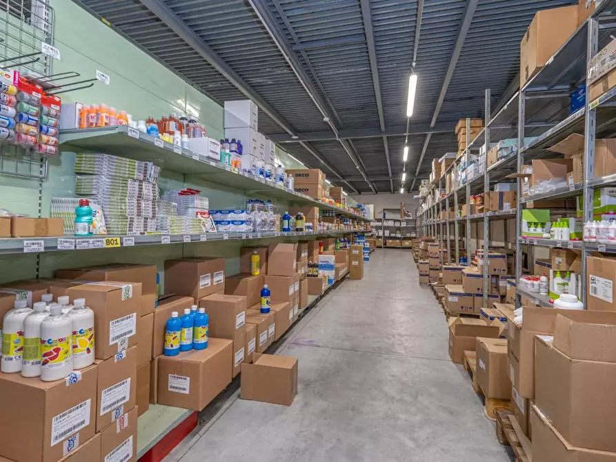 Immagine 23 di Capannone industriale in vendita  a Calcinaia