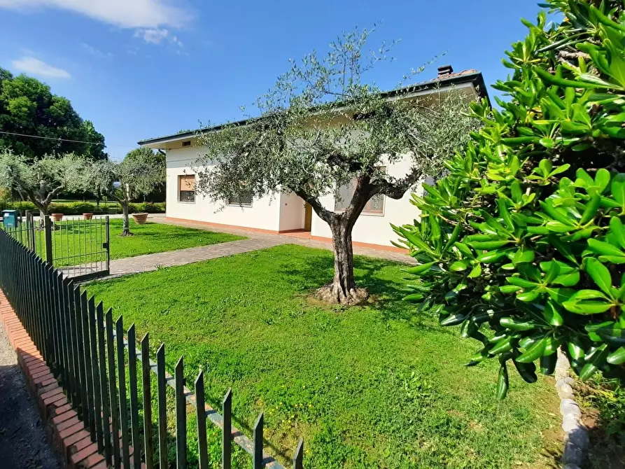 Immagine 4 di Villa in vendita  a Porcari