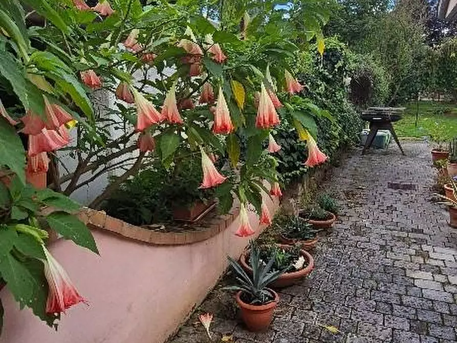 Immagine 40 di Villa in vendita  a Pisa