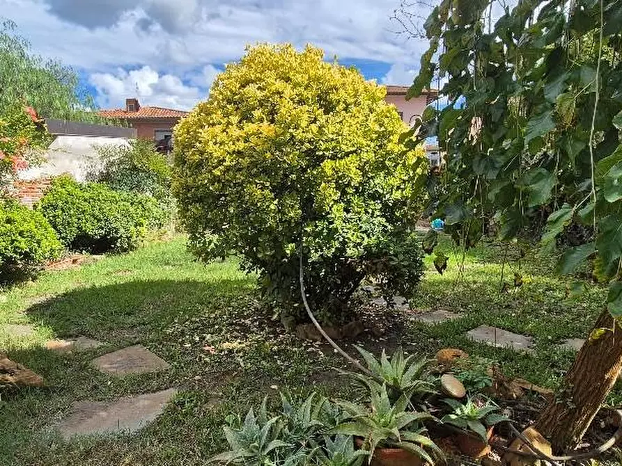 Immagine 7 di Villa in vendita  a Pisa